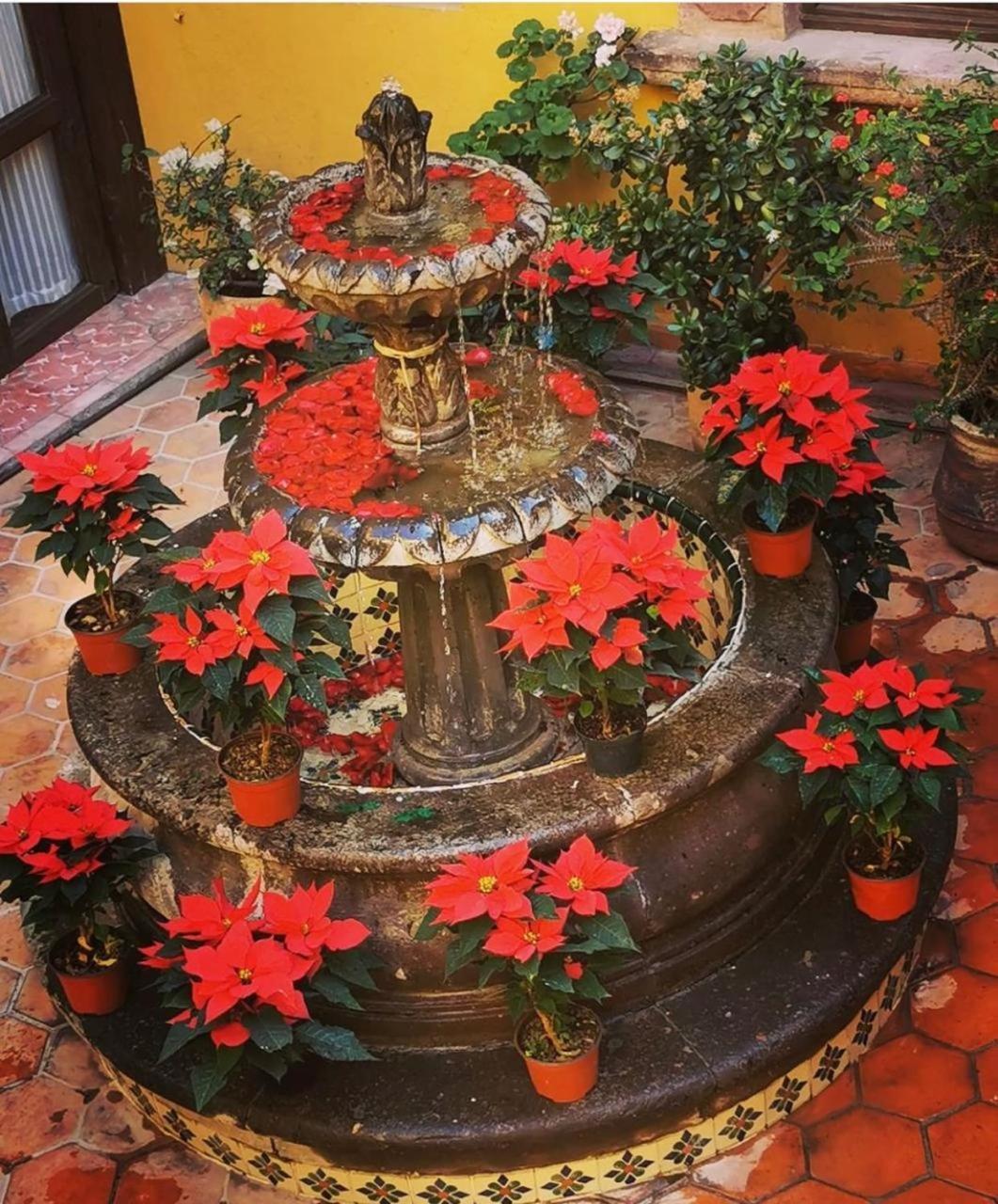 Casa Rosario Centro Hotel San Miguel de Allende Buitenkant foto